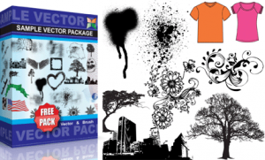 vector en brush sample package box
