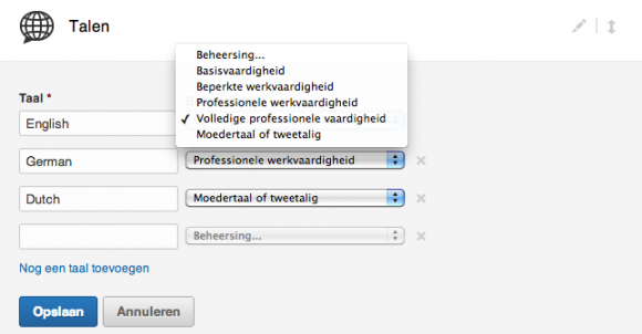 linkedin profiel extra talen instellen 580x302 Breng je LinkedIn Profiel tot leven