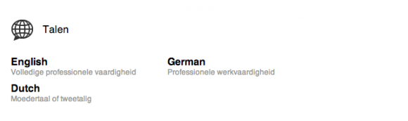 linkedin profiel extra talen 580x172 Breng je LinkedIn Profiel tot leven