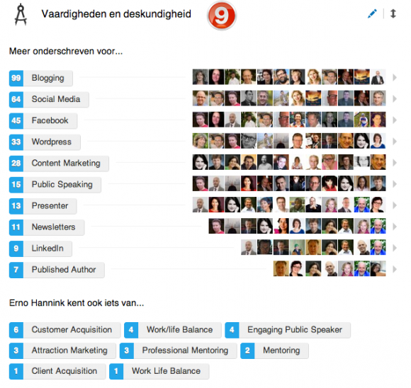 linkedin profiel vaardigheden 580x548 Compleet profiel op nieuwe LinkedIn in 13 stappen