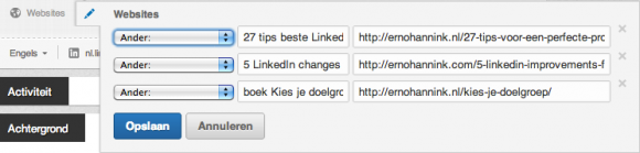 linkedin profiel websites bewerken 580x139 Compleet profiel op nieuwe LinkedIn in 13 stappen